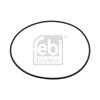 10x Febi Seal Ring, wheel hub 09923