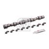 Febi Camshaft Kit 03531