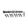 Febi Camshaft Kit 06023