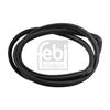 Febi Rear Windscreen Seal 08872