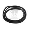 Febi Rear Windscreen Seal 08883