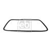 Febi Rear Windscreen Seal 08893