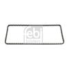 Febi Timing Chain 100071