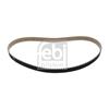 Febi Timing Cam Belt 100170