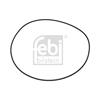 2x Febi Seal Ring, wheel hub 100256