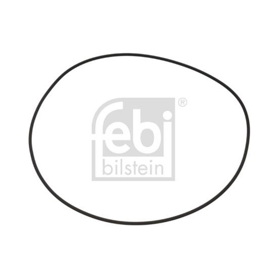 2x Febi Seal Ring, wheel hub 100256