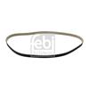 Febi Timing Cam Belt 101047