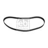 Febi Timing Cam Belt 10951