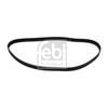 Febi Timing Cam Belt 10954