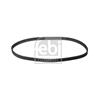 Febi Timing Cam Belt 10973