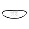 Febi Timing Cam Belt 10980