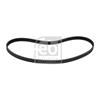 Febi Timing Cam Belt 11002