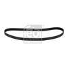 Febi Timing Cam Belt 11033