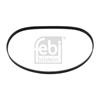 Febi Timing Cam Belt 11145