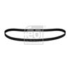 Febi Timing Cam Belt 11166