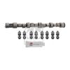 Febi Camshaft Kit 12242