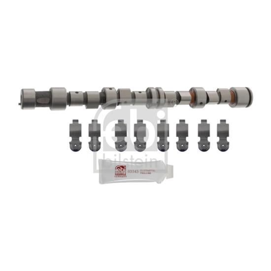 Febi Camshaft Kit 12242