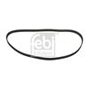 Febi Timing Cam Belt 12661