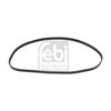 Febi Timing Cam Belt 12976