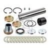 Febi Suspension Kingpin Repair Kit 172053