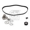 Febi Water Pump And Timing Belt Set 172669