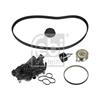 Febi Water Pump And Timing Belt Set 172706