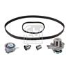 Febi Water Pump And Timing Belt Set 173077