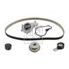 Febi Water Pump And Timing Belt Set 173114