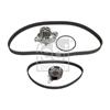 Febi Water Pump And Timing Belt Set 173211