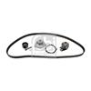 Febi Water Pump And Timing Belt Set 173212