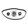 Febi Water Pump And Timing Belt Set 173254