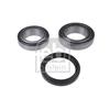 Febi Wheel Bearing Kit 173678