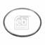Febi Flywheel Ring Gear 174543