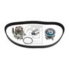 Febi Water Pump And Timing Belt Set 176589