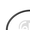 10x Febi Seal Ring wheel hub 179283
