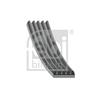 Febi V-Ribbed Belt 183146