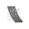Febi V-Ribbed Belt 183322