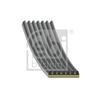 Febi V-Ribbed Belt 183323