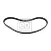 Febi Poly Fan V Belt 18474