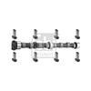 Febi Camshaft Kit 19678