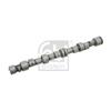 Febi Camshaft 24548