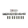 Febi Camshaft Kit 24549