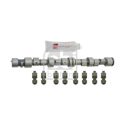Febi Camshaft Kit 24549