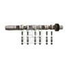 Febi Camshaft Kit 29916