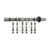 Febi Camshaft Kit 29920