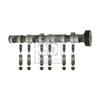 Febi Camshaft Kit 29922