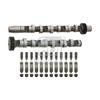 Febi Camshaft Kit 29924
