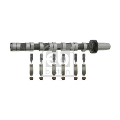 Febi Camshaft Kit 29920