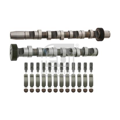 Febi Camshaft Kit 29924