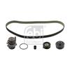 Febi Water Pump And Timing Belt Set 32743